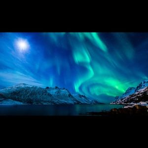 Meet your Posher, Nick